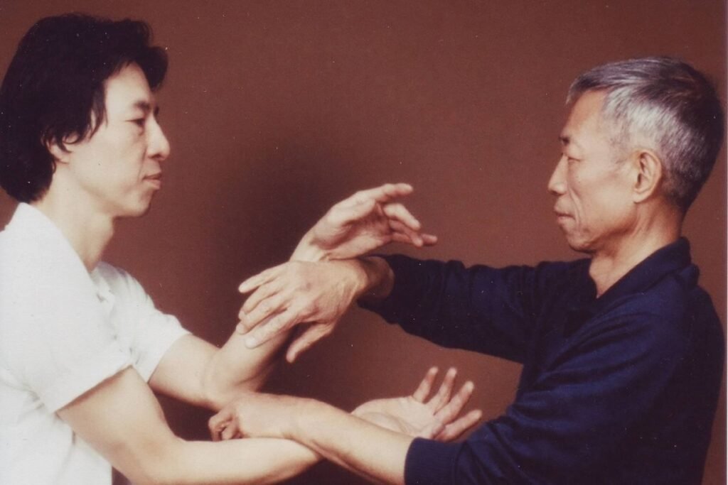 Internal and External Wing Chun